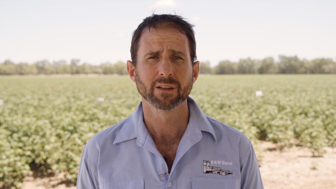 Ben Dawson Cotton Agronomist