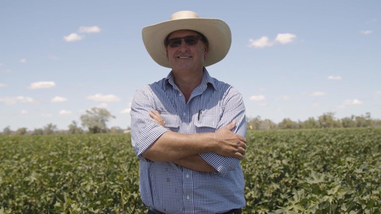 Bernie Bierhoff Cotton Grower