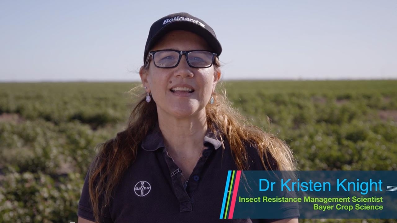 Kristin Knight Cotton Expert