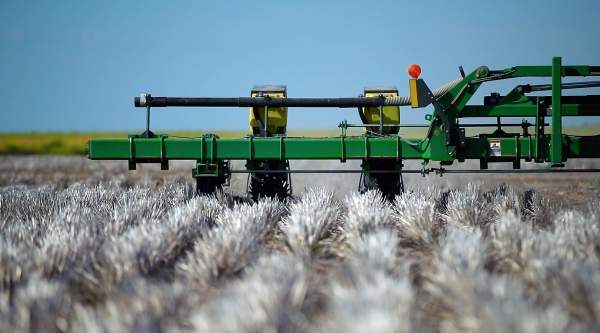 Planting into standing stubble