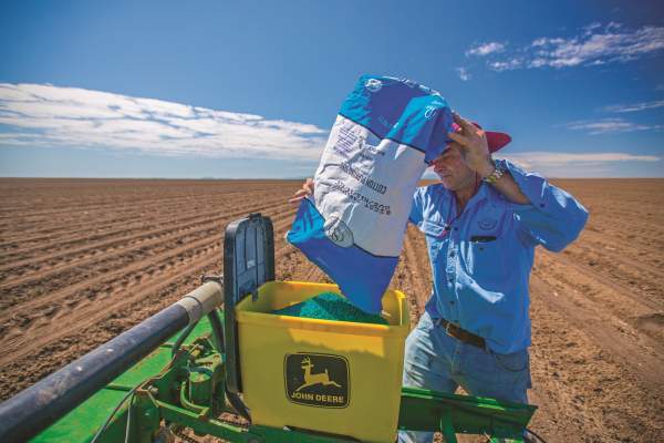 Choosing appropriate variety