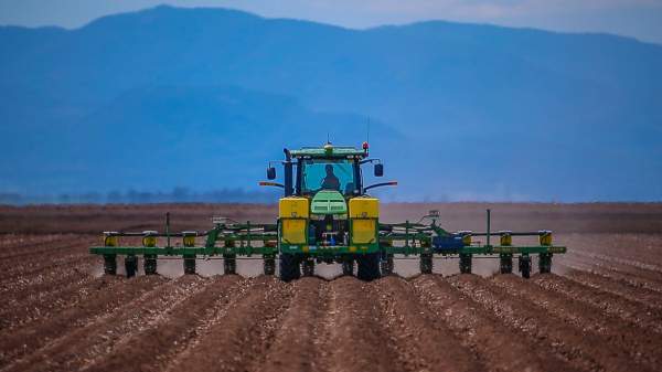 Why Cotton Greater Flexibility