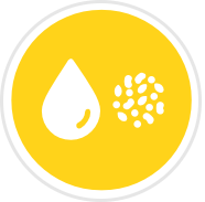 Dryland Cotton icon