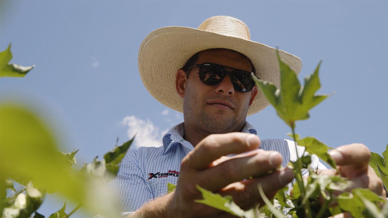 Jack Sharp Bayer Agronomist