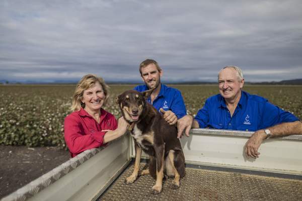 Why Cotton Marketing Opportunities