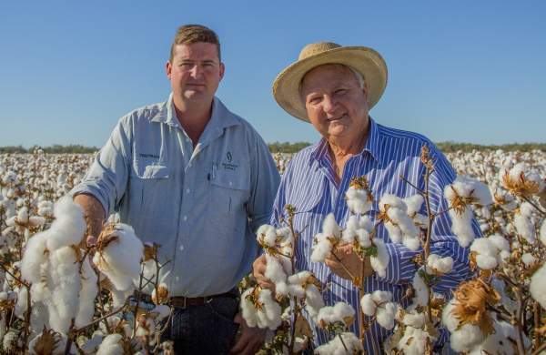 Why Cotton Rewarding Gross Margins